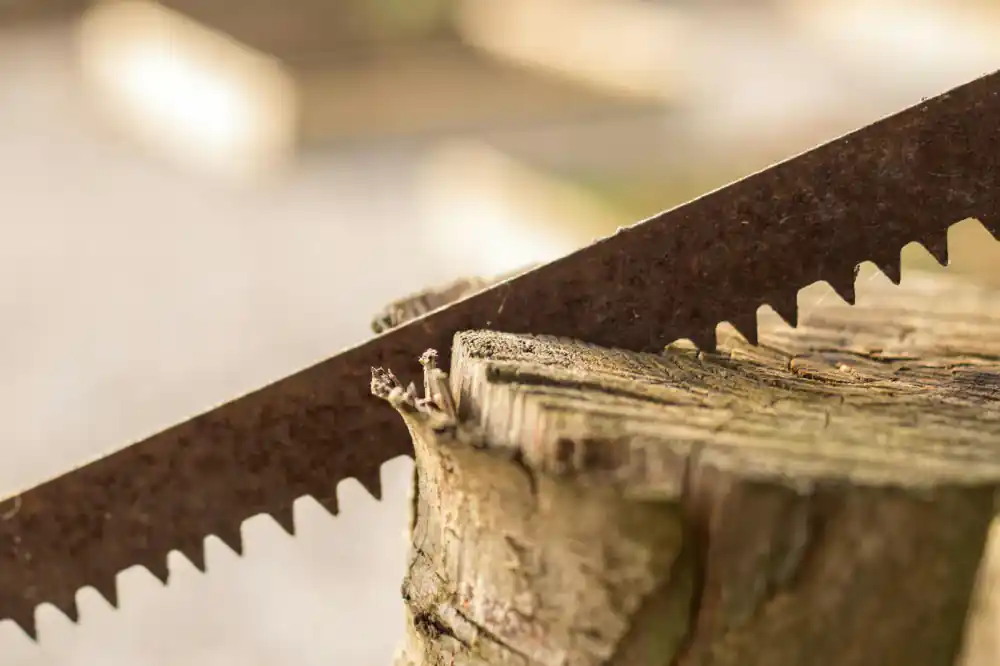 Reciprocating saw